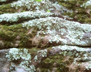 ModernOther Stone Textures