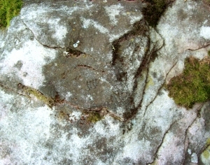 ModernOther Stone Textures