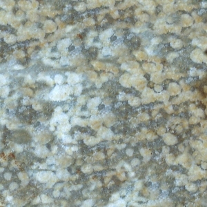 ModernOther Stone Textures