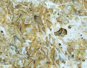 ModernOther Stone Textures