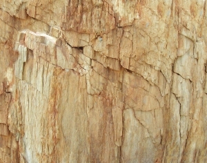 ModernOther Stone Textures