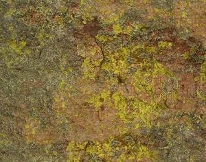 ModernOther Stone Textures