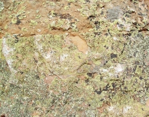 ModernOther Stone Textures