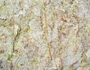 ModernOther Stone Textures