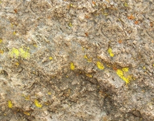 ModernOther Stone Textures