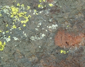 ModernOther Stone Textures