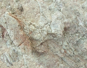 ModernOther Stone Textures