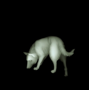 ModernBump Black And White