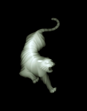 ModernBump Black And White