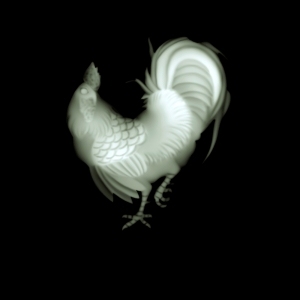 ModernBump Black And White