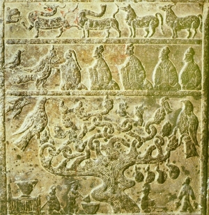 ModernBump Black And White