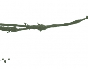 New Chinese StyleChinese Style Painting