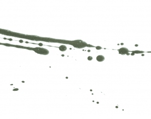 New Chinese StyleChinese Style Painting