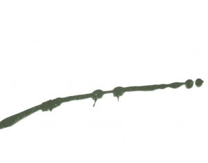 New Chinese StyleChinese Style Painting