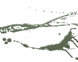 New Chinese StyleChinese Style Painting