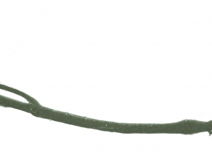 New Chinese StyleChinese Style Painting