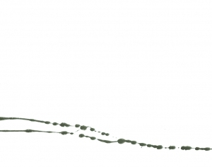 Modern New Chinese StyleChinese Style Painting