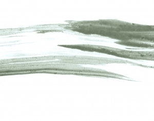 Modern New Chinese StyleChinese Style Painting