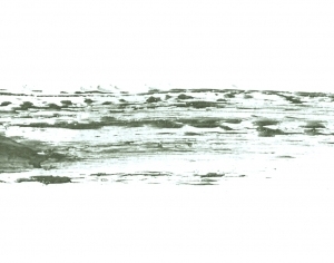 Modern New Chinese StyleChinese Style Painting