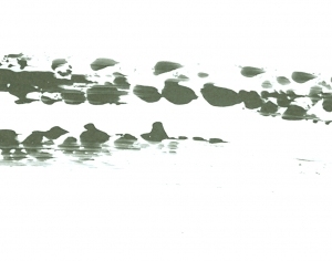 Modern New Chinese StyleChinese Style Painting