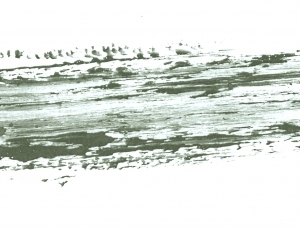 Modern New Chinese StyleChinese Style Painting