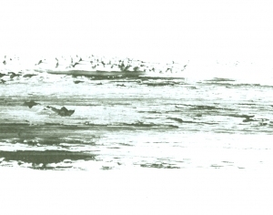 Modern New Chinese StyleChinese Style Painting