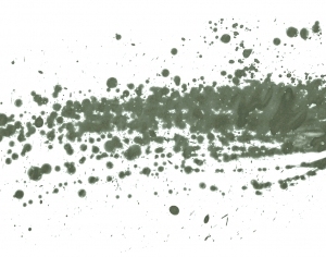 Modern New Chinese StyleChinese Style Painting