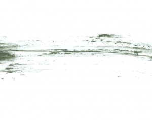 Modern New Chinese StyleChinese Style Painting