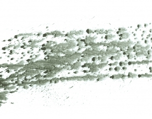 Modern New Chinese StyleChinese Style Painting