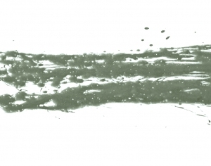 Modern New Chinese StyleChinese Style Painting