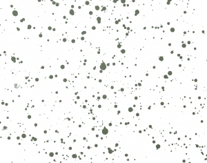 Modern New Chinese StyleChinese Style Painting