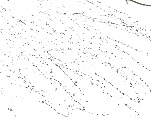 Modern New Chinese StyleChinese Style Painting