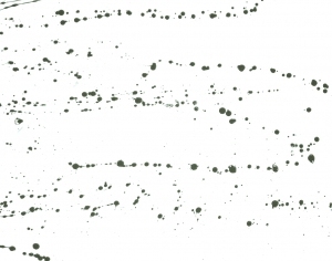 Modern New Chinese StyleChinese Style Painting