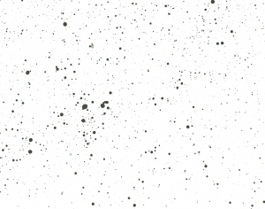 Modern New Chinese StyleChinese Style Painting