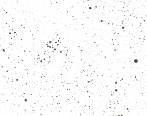 Modern New Chinese StyleChinese Style Painting