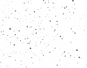 Modern New Chinese StyleChinese Style Painting