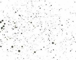 Modern New Chinese StyleChinese Style Painting