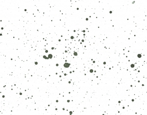 Modern New Chinese StyleChinese Style Painting