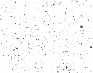 Modern New Chinese StyleChinese Style Painting