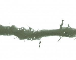 New Chinese StyleChinese Style Painting