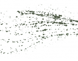 New Chinese StyleChinese Style Painting