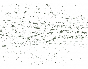 New Chinese StyleChinese Style Painting