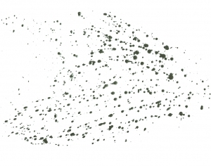 New Chinese StyleChinese Style Painting