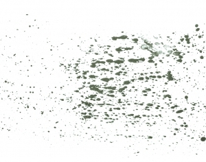 New Chinese StyleChinese Style Painting