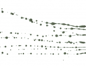 New Chinese StyleChinese Style Painting