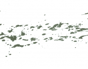 New Chinese StyleChinese Style Painting