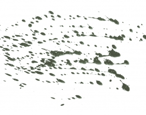 New Chinese StyleChinese Style Painting