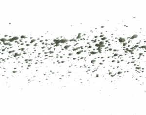 New Chinese StyleChinese Style Painting