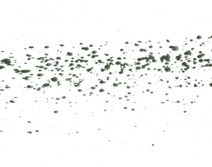 New Chinese StyleChinese Style Painting