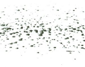 New Chinese StyleChinese Style Painting